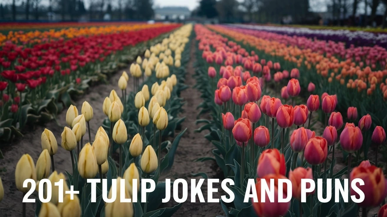 Tulip Jokes and Puns