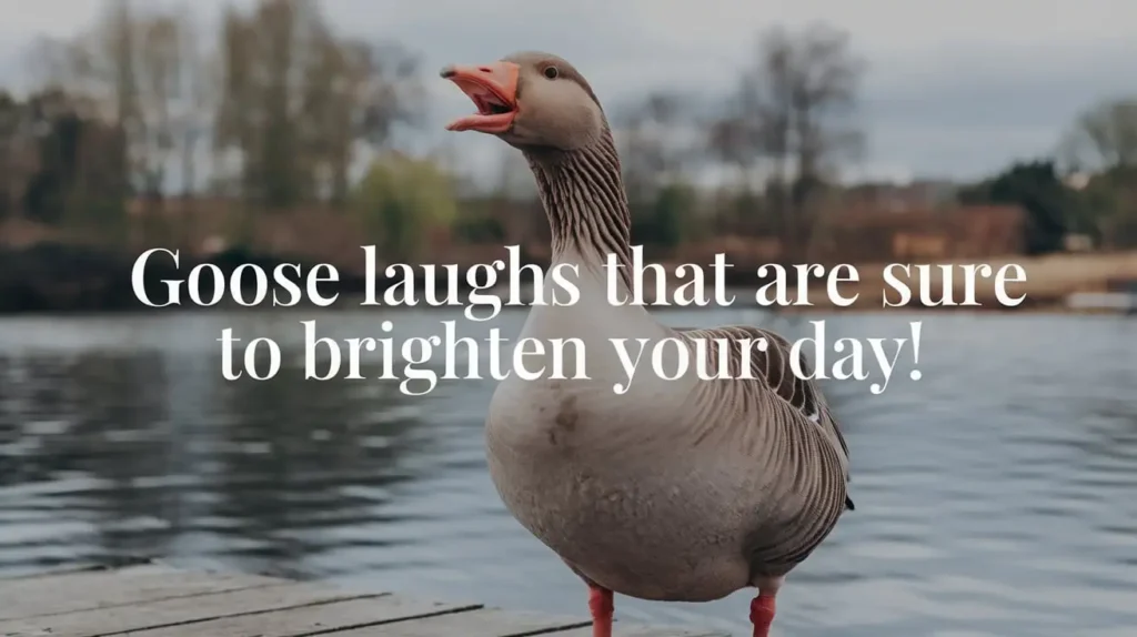 Goose Laughs That Are Sure to Brighten Your Day