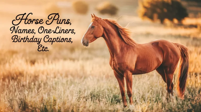 Horse Puns (Names, One-Liners, Birthday, Captions, Etc.)
