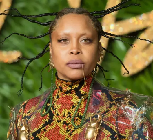 Erykah Badu Age, Height, Weight, Net Worth, Career, And More