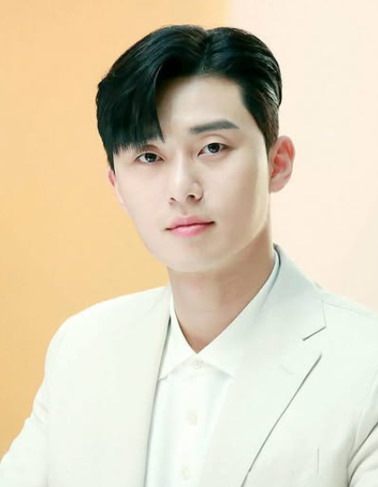 Park Seo Joon's Wife