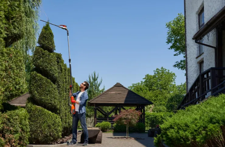 Singapore's Flourishing Landscape Industry