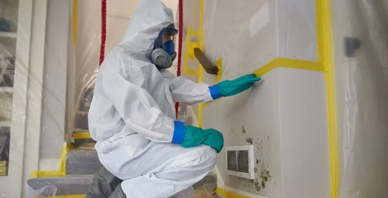 How Mold Removal Experts Handle Severe Infestations Safely in Colorado Springs