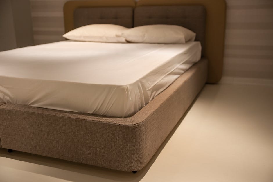 The Evolution and Appeal of Contemporary Bed Designs