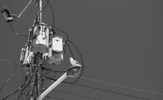 Navigating the Realities of Being Disconnected from the Grid (1)